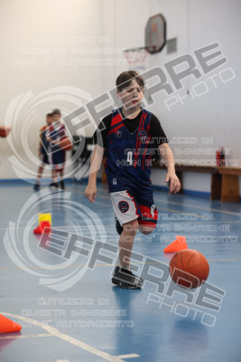 CUT14667