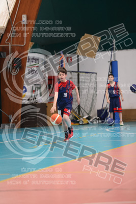 CUT15538