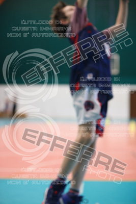 CUT15577