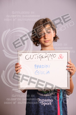 PP2-1178