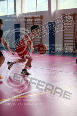 UNPL8240