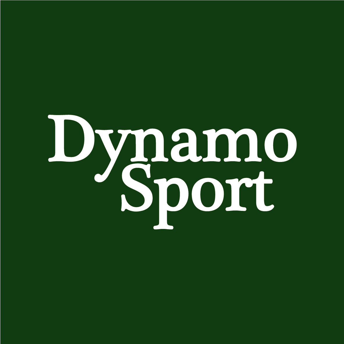 Logo 3