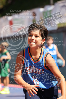 UNPL2011