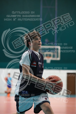 CUT15229